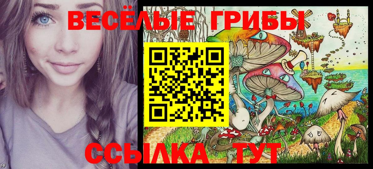 Рубцовск  Галлюциногенные грибы Cubensis  Вход с VPN 